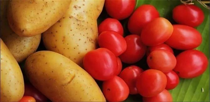 الطماطم والبطاطا...علاج محتمل للسرطان