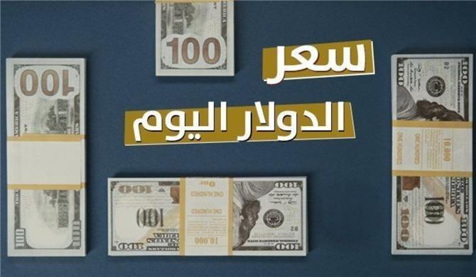 ثبات سعر الدولار في مصر بتعاملات اليوم 1 ديسمبر