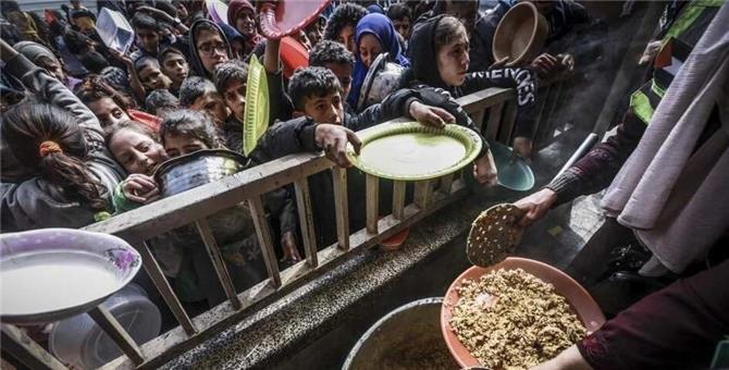 سكان غزة يقتاتون أعلاف الحيوانات وورق الشجر